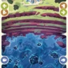 Adventure Card 3 (T) - Whispers from the Maze Regulier