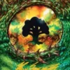 Art Card 32: Forest (signed) - Tarkir: Dragonstorm Art Series