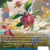 Bumblebeet (U-3871) - Altered Unique whispers