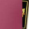 Dragon Shield - Special Edition Sleeves Dual Matte: Red Gold (100 stuks)
