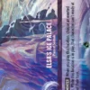 Elsa's Ice Palace, Place of Solitude (foil) (borderless) - Challenge