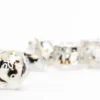 FanRoll - Dice Set: Penguin (7-delig)