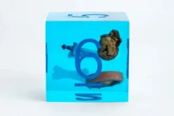 FanRoll Dungeons and Dragons - Jumbo Dice D6: Gelatinous Cube (1 stuk)
