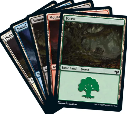 Foil Basic Land Pack Innistrad: Crimson Vow (40 cards)