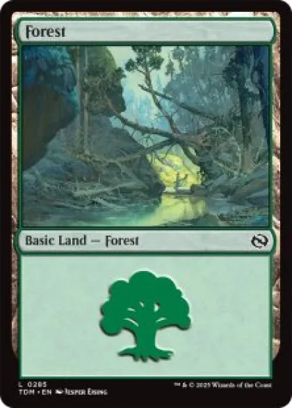 Forest (#285) (foil) - Tarkir: Dragonstorm