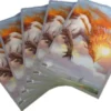 Gamegenic Magic: The Gathering - Premium Art Sleeves: Lorwyn Eclipsed - Eirdu, Carrier of Dawn (105 stuks)