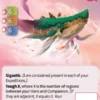 Kaibara, Asgarthan Leviathan (F) - Altered Beyond the Gates