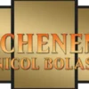 Magic: The Gathering - Complete Set Nicol Bolas Archenemy Cards