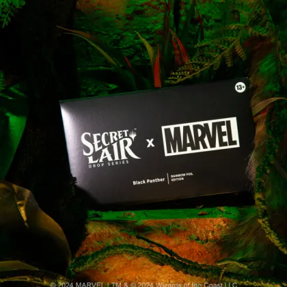 Magic: The Gathering - Secret Lair Drop Series: Secret Lair x Marvel: Black Panther (foil)