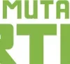 Magic: The Gathering - Teenage Mutant Ninja Turtles Turtle Team-Up Magic Card Box