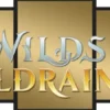 Magic: The Gathering - Wilds of Eldraine Complete Set Art Cards