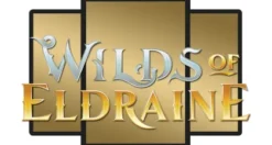 Magic: The Gathering - Wilds of Eldraine Complete Set Art Cards