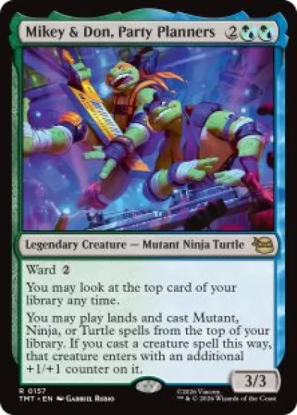 Mikey & Don, Party Planners - Teenage Mutant Ninja Turtles