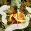 Playmat Mystical Archive: Snakeskin Veil