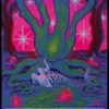 Secret Lair Drop Series: The Astrology Lands - Capricorn
