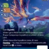 Simurgh (U-6422) - Altered Unique whispers