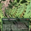 Tarmogoyf (foil) (borderless) - Reality Fracture Varianten