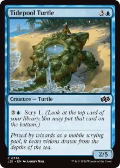 Tidepool Turtle - Jumpstart 2025