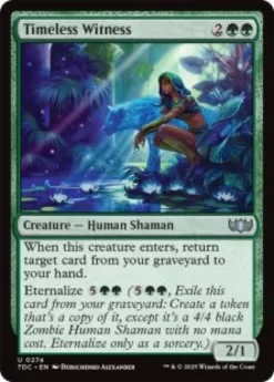 Timeless Witness - Tarkir: Dragonstorm Commander