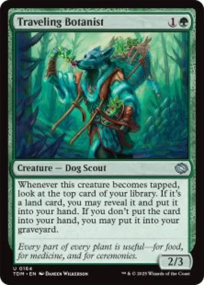 Traveling Botanist (foil) - Tarkir: Dragonstorm