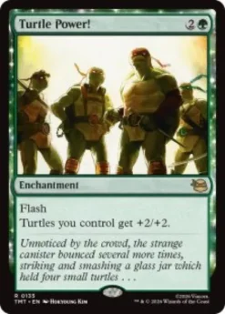 Turtle Power! - Teenage Mutant Ninja Turtles