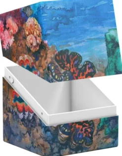 Ultimate Guard - Coral Places Boulder Deck Case 100+: Coralinne Eden