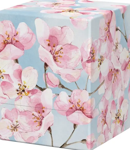 Ultimate Guard - Floral Places Boulder Deck Case 100+: Cherry Blossom