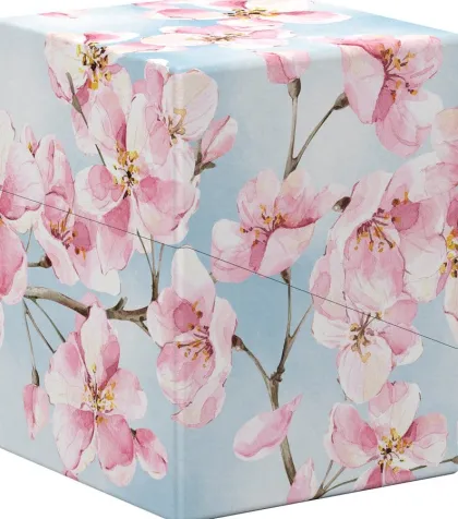 Ultimate Guard - Floral Places Boulder Deck Case 100+: Cherry Blossom