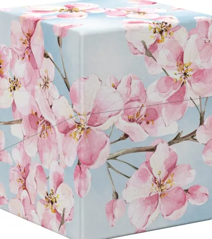 Ultimate Guard - Floral Places Boulder Deck Case 100+: Cherry Blossom