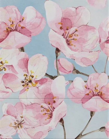 Ultimate Guard - Floral Places Boulder Deck Case 100+: Cherry Blossom