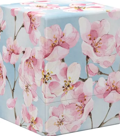 Ultimate Guard - Floral Places Boulder Deck Case 100+: Cherry Blossom