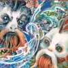 Ultimate Guard Magic: The Gathering - Lorwyn Eclipsed Stitched Edge Playmat: Sygg's Command