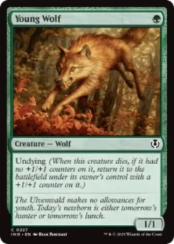 Young Wolf - Innistrad Remastered