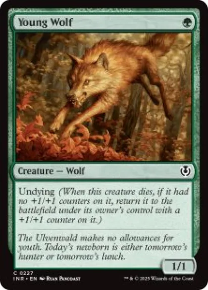 Young Wolf - Innistrad Remastered